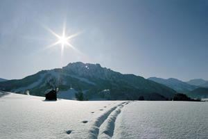 Winterbild Jungholz