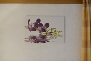 Bild Interieur Orchidee